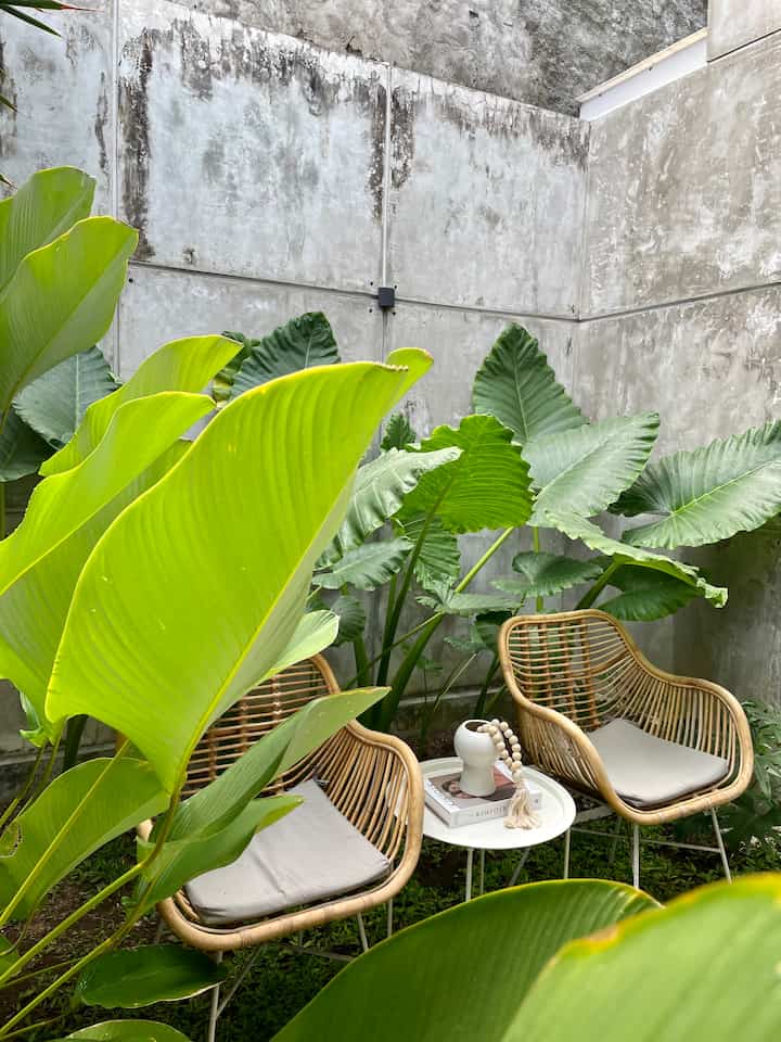 Sudut pandang lain dari halaman dalam kami.🍃

#halaman belakang #innercourtyard #tropicalhouse #industrialtropis #gogreen