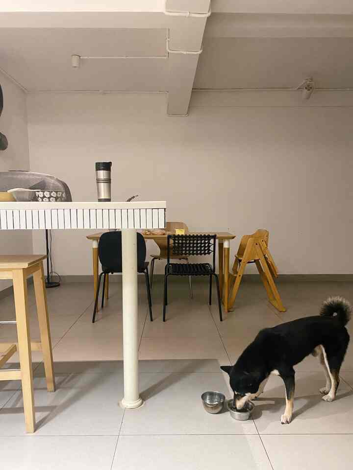 Slow weekend at Queenspark Home. 
Slide kedua ngga sparks joy karena storage dan tutupnya pada miring-miring dan berantakan. Aaa, otw beberes dulu yah! 😆 Happy weekend semua. 

#japandi #scandinavian #homedecorinspo #roominspodecor #kitchendecor #minimalist