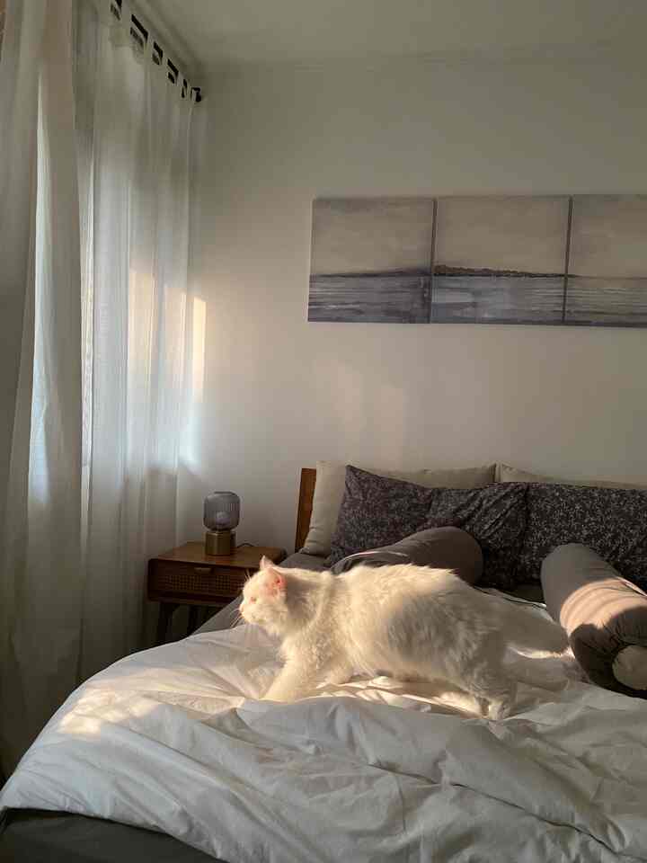 Cahaya alami di dalam ruangan✨

Membawa lebih banyak sinar matahari ke kamar Anda memiliki dampak positif yang besar pada kesehatan mental Anda dan membantu Anda menciptakan kamar tidur yang nyaman 🤎☀️

#kamar tidur
#cahaya alami
#Inspirasi Kamar Tidur
#Kamar Favoritku
#Dekorasi Kamar Tidur
#Seperai