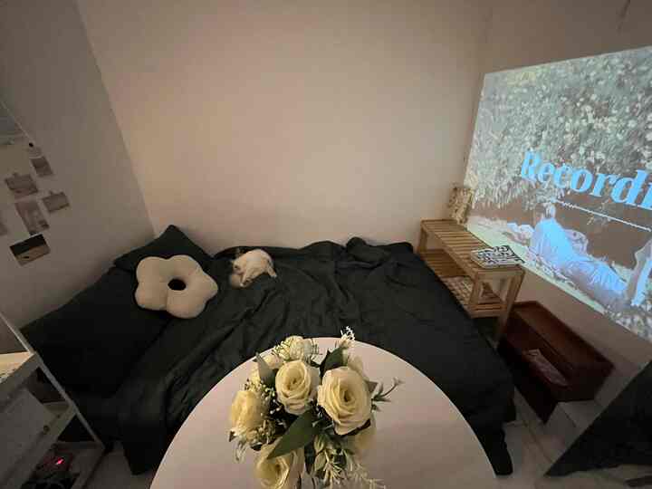Movie night situation 🌙✨

Sebelum tidur, aku punya kebiasaan untuk menonton film. Nah, ini dia setupnya~

Projectornya akan menyorot dinding depan kasur, jadi ketika tertidur bisa langsung dimatikan😄

Layarnya juga besar banget! Serasa nonton di bioskop 📺

#bedroominspiration #minimalist #nightvibe #bedroomdecorations #rumahmungil #smallroom #decorlowbudget