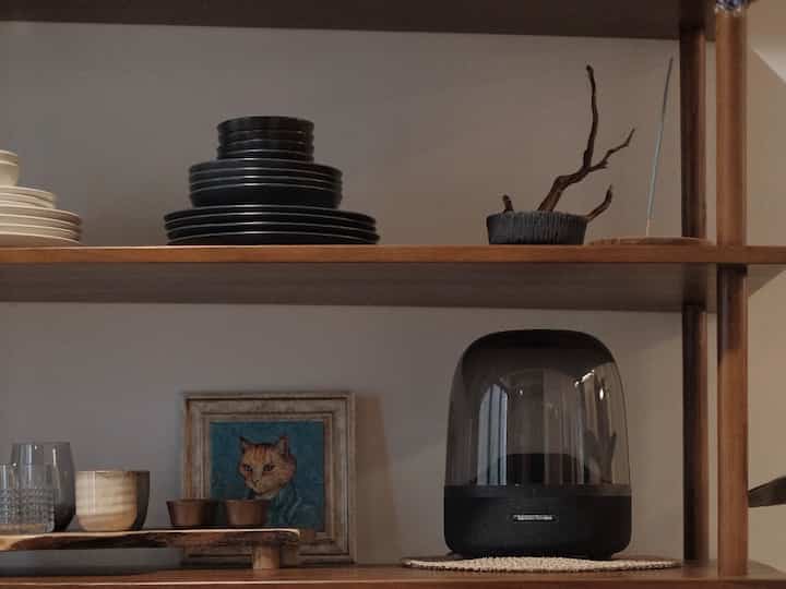 Natural wood-tone shelves in kitchen holding plates, cat painting, and Harman Kardon speaker creating cozy atmosphere
