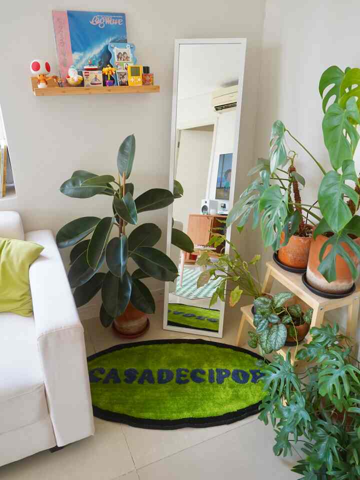 Welcome to Plant Corner #casadecipop 🍃

Is there a plant mom/dad here? Pleased to meet you! 😊

A little story, I started to be interested in indoor plants when the 2020 pandemic started, I was still living in my old apartment with my family and decided to adopt plants from @plantsonsunday. Eh, it turns out that from initially buying 1, to more than 20 hahaha, does anyone relate? 😂

Unfortunately not all of them survive. When I moved here last year, I brought some of my old plants here and some I bought new. I put plants in the living room & work room.

The decision to care for ornamental plants makes the room more aesthetic & beautiful with natural elements. Be healthy, you guys! 🤗🌿

#midcenturymodern #homedecorinspo #aesthetichomedecor #apartemen #jakarta #sololivingjourney #plantcorner #plantmom #tanamanhias