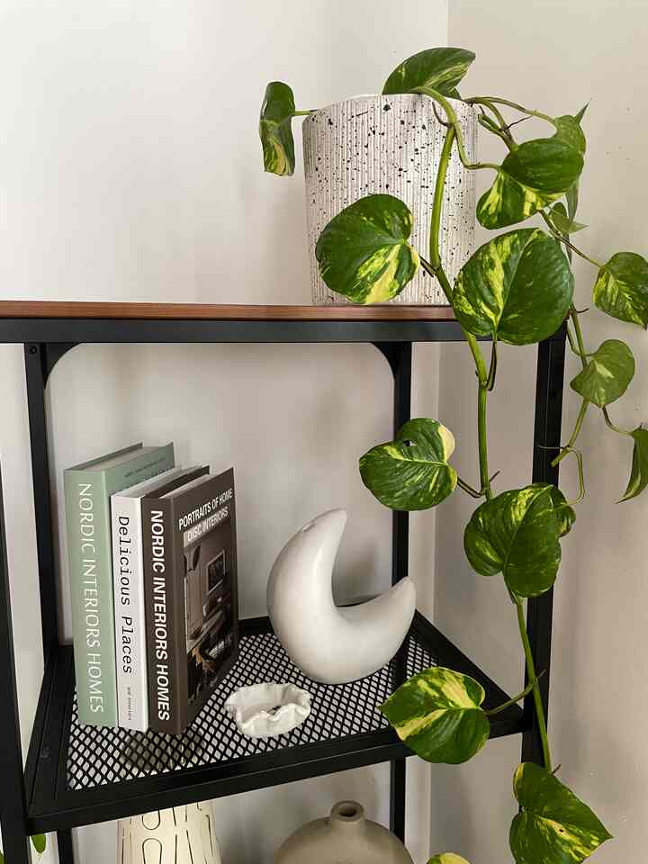 Pajangan estetik bikin sudut rumah makin cantik



#livingroom #shelfrack