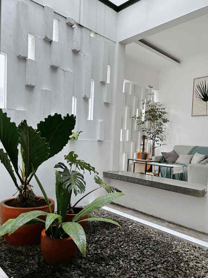 Karna banyak kontroversi pohon ketapang kencana yg awalnya tertanam di taman tengah ini akhirnya kita ganti dengan tanaman yg lain. Kali ini coba mengubah taman dengan menggunakan tanaman yg ada dari taman belakang. Hasilnya lumayan yaa 😆 #boemisaturnus #scandinavian #tanaman #taman #livingroom