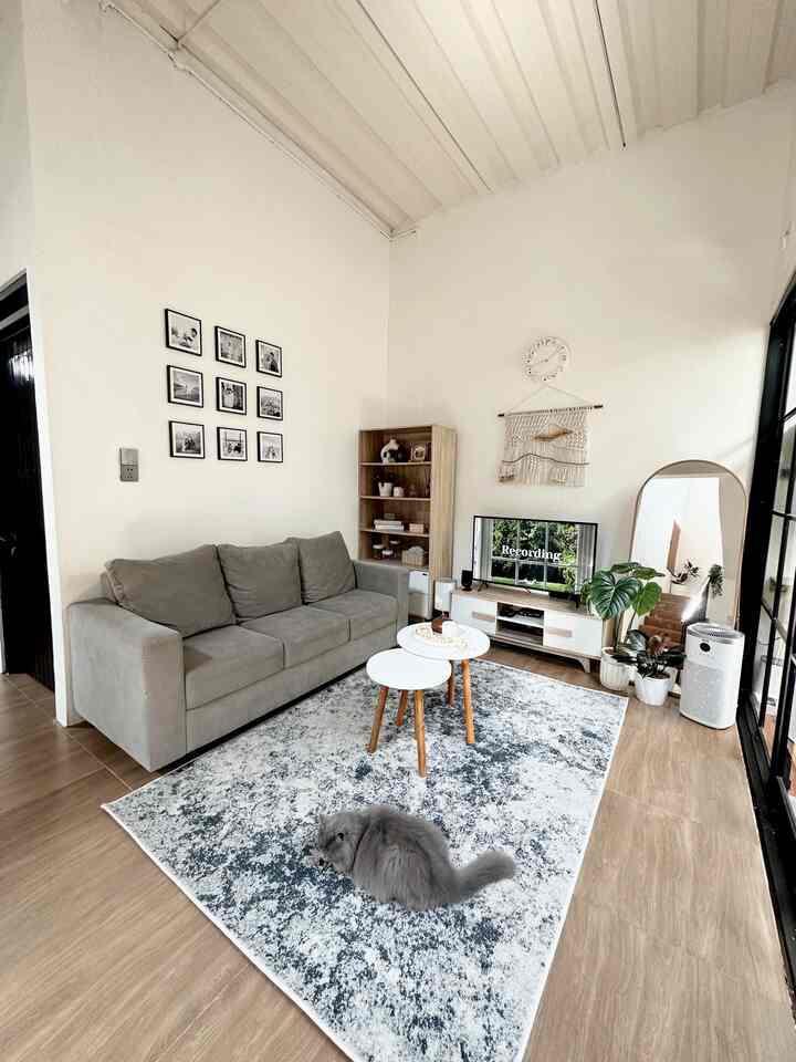 A bright living room with white walls and high ceiling featuring a gray sofa, patterned rug, and a cat resting on the rug