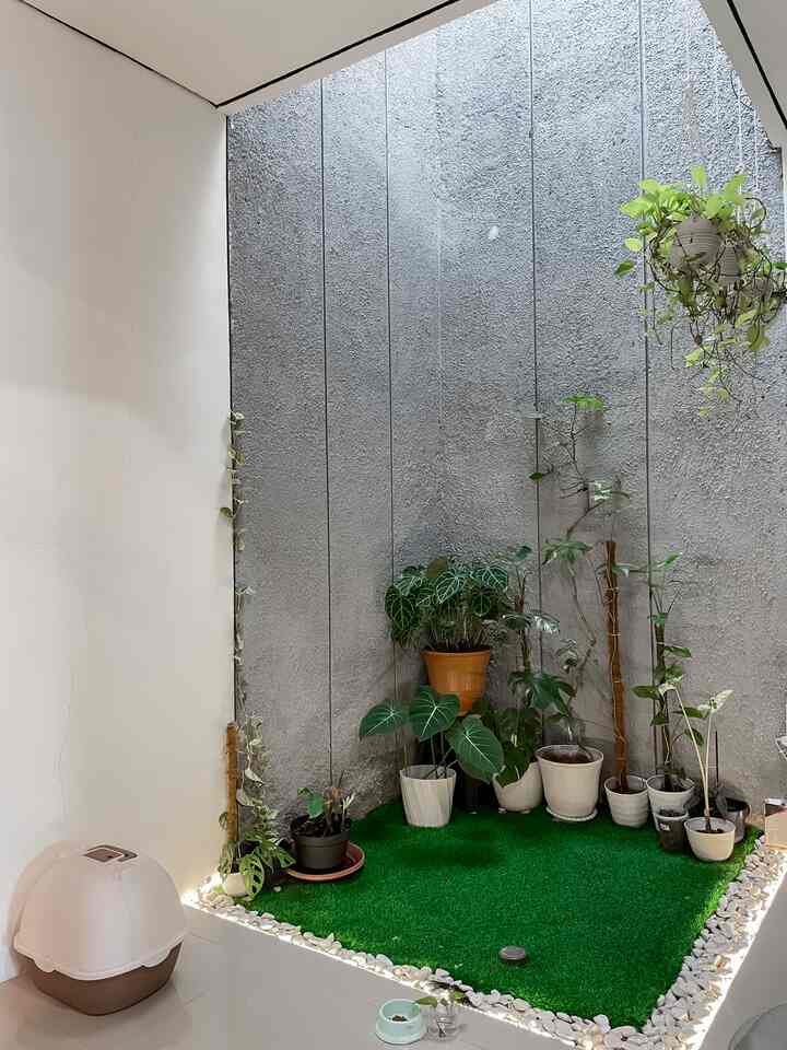 Ini adalah area taman belakang kami yang menggunakan rumput sintetis. Penggunaan rumput sintetis disini agar minim perawatan. Area ini bisa langsung terlihat dari dapur kami dan juga area kamar utama di lantai 2. Tentunya saat hujan turun, area ini aman dari basah karena kami menggunakan solar taff yang menyambung dari ruangan cuci di lantai 2. Disini juga menjadi lokasi tempat litter box kucing kami. Semoga menginspirasi yaaa #tamanindoor #tamankecil #inspirasitaman #homedecoinspiration #inspirasitaman #minigarden #taman #tamanrumah #homedecor 