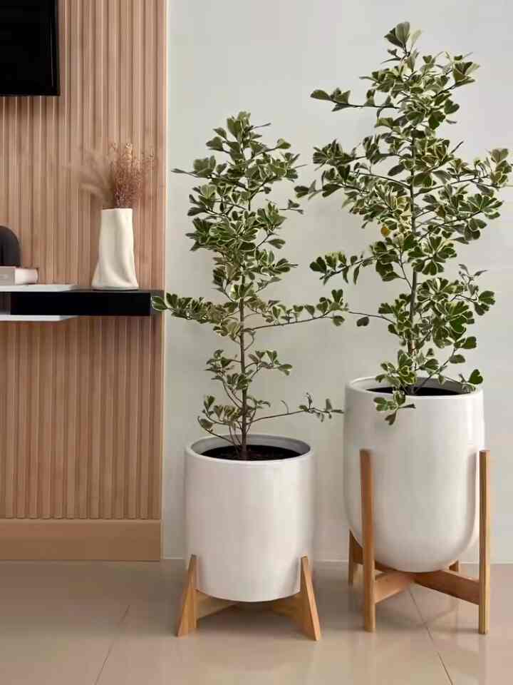 insipirasi ruang tamu aesthetic #pottanahliat #potbunga #vasbunga