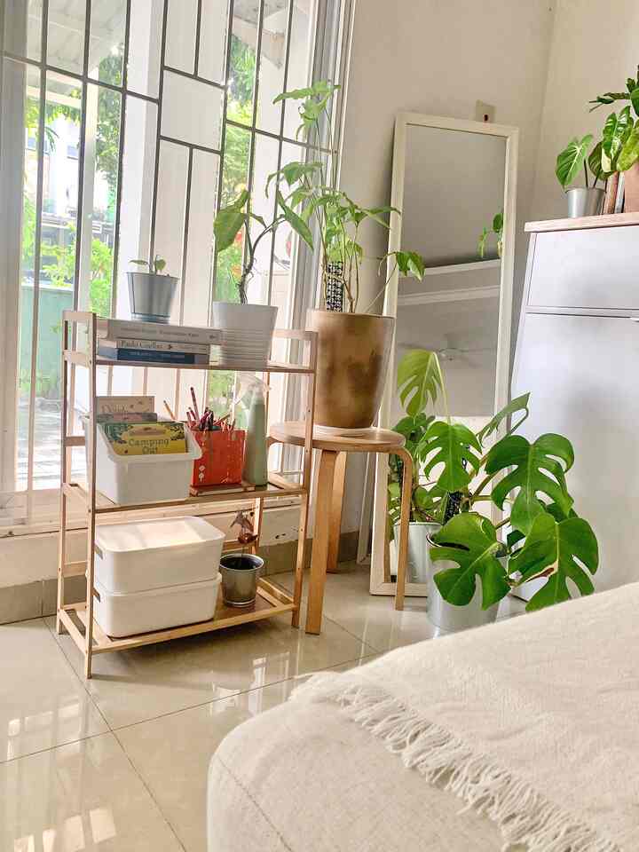 Natural wood tones and green plants in a cozy corner storage space with bright and warm interior
