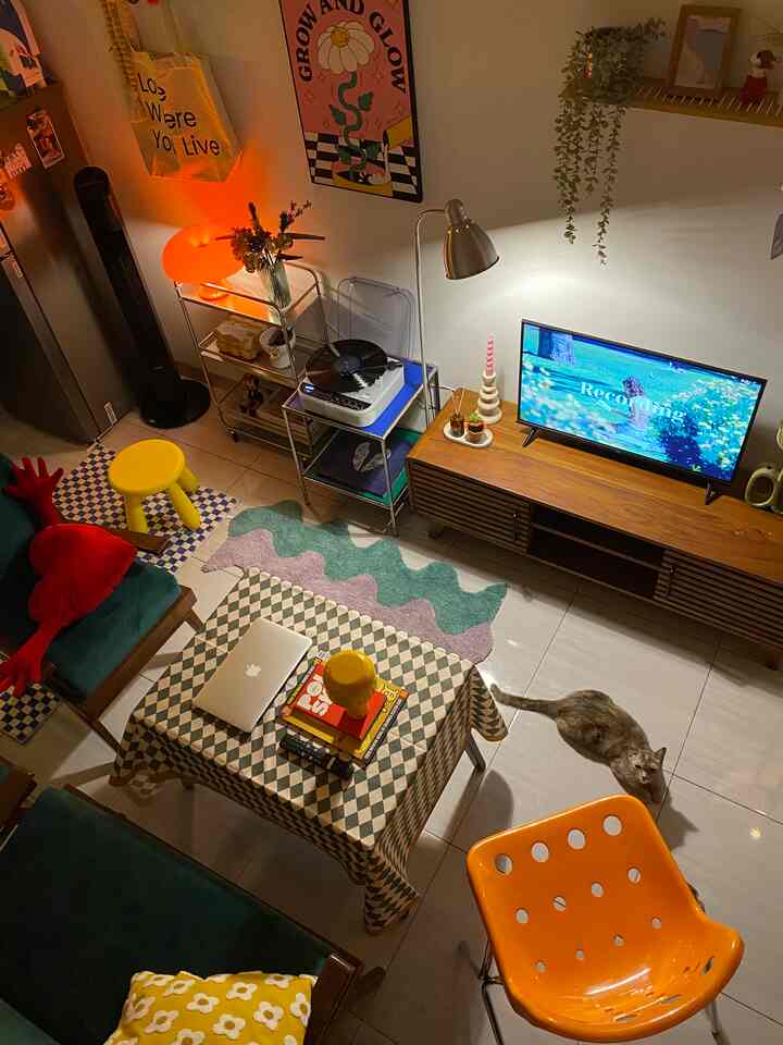 Warm orange and brown tone mid-century modern living room featuring a cat and table lamp in a cozy setting