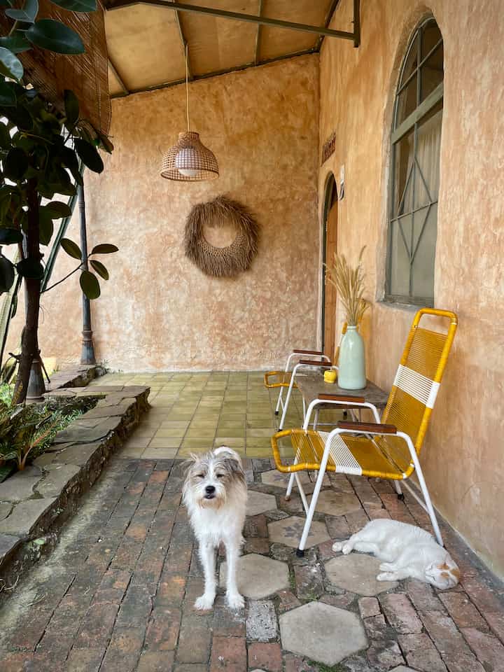 Suasana nyaman… 🐾🐾

#terrace #kursipentil #antiquehome #cozyhome #morrocohouse #homedecor #aesthetichome