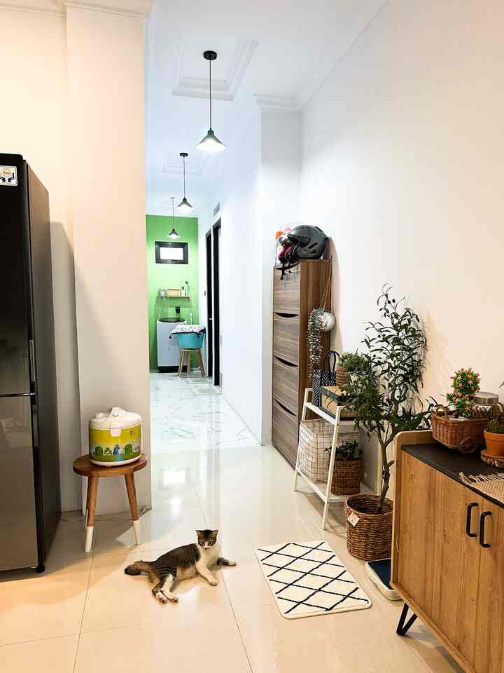 Natural-tone hallway with white walls and ceiling as background, featuring a cat and multiple plants in a cozy home interior
