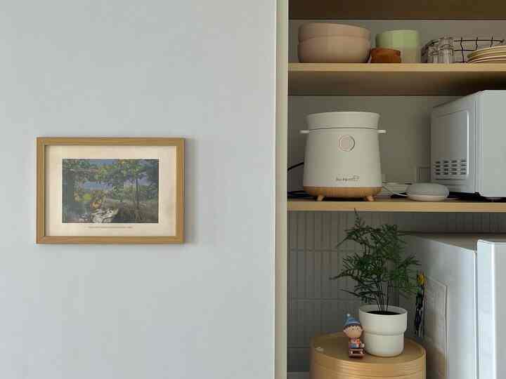 Compact kitchen space in white and wood tones featuring a rice cooker, microwave, small plant, and figurine with a simple interior