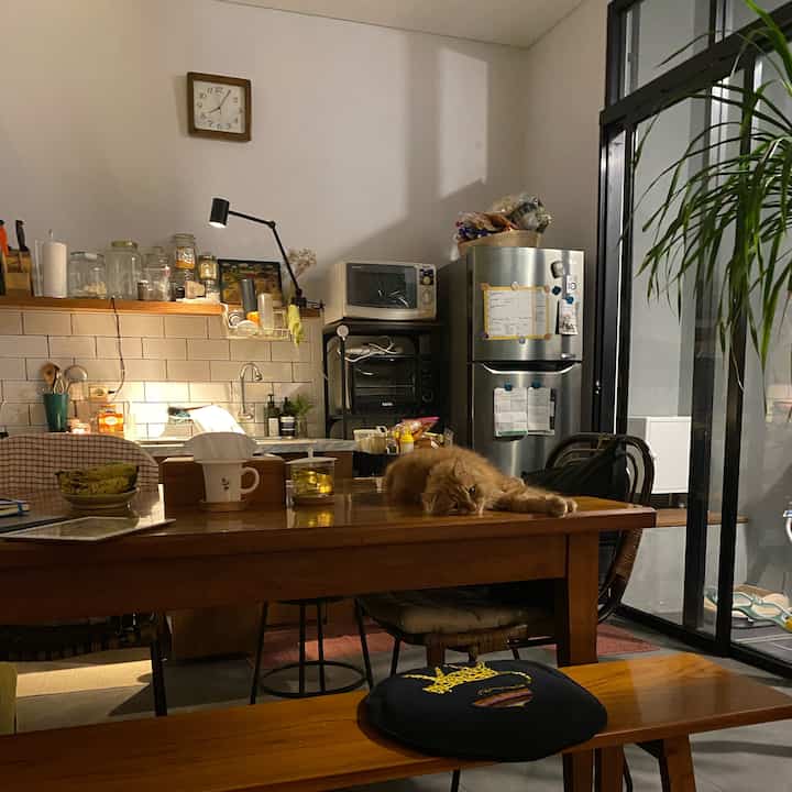 Tuna really likes emotional evening movements at the dining table 🙈 #kelasmennengah #nagarey #muji #smallhouse #tinyspace #diningroom #kursi