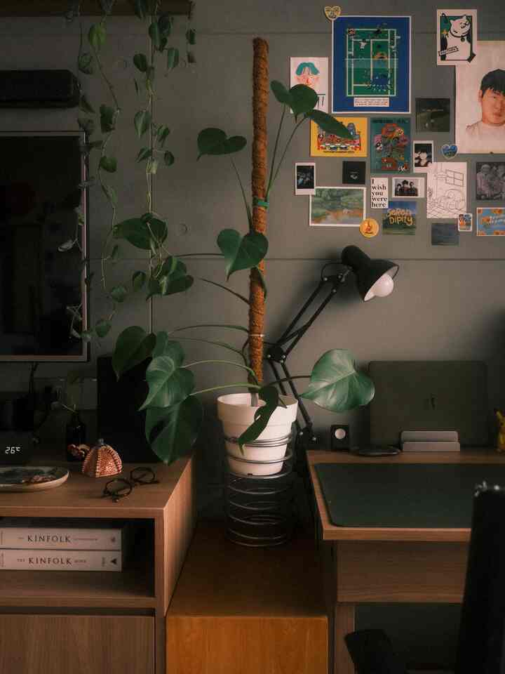 Natural-tone home office space featuring tall green plant, modern desk, and lamp creating a cozy workspace