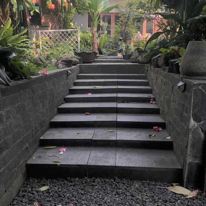 Happy weekend tetangga khisaku! 

Selamat pagi dari tangga menuju ke hutan🤭 gak dengg ini tangga penghubung halaman belakang rumahku dan halaman rumah orangtuaku. Cuma ya bentuknya mirip hutan ya karena super rimbun. 


#taman #tanaman #halaman #fromwhereistand #batualam #batusplit #lampusolar #inikhisaku
