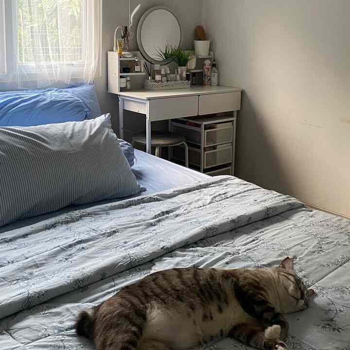 Kamar utama di rumpeas ukurannya 3x3, tapi cukup untuk istirahat + si kucing sampe betah🤣. Di kamar ini hanya ada kasur, bedside table 1 dan meja rias. Untuk pakaian ada dikamar 1 lagi😊. Bagian yang paling banyak barangnya itu meja rias aku🤭, jadi aku selalu rapiin setiap abis di pakaiiii & galupa pake drawer mini biar muat semua barang2 printilan ceweee😀✌🏼pilih furnitur warna putih biar bisa ganti-ganti seprai warna warniii✨

#DekorasiKamarUtama #InspirasiKamarUtama #MasterBedroomStyling #rumahdeveloper #50m2 #petparent #minimalis #rumahmungil #inspirasikamar