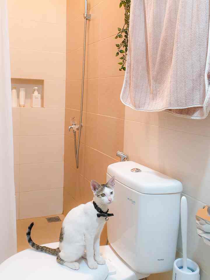 Area tengah kamar mandi lantai 1.

Alat-alat pembersih semua digantung agar tidak mengotori lantai. Karena kalau lama kelamaan alat pembersih hanya ditaruh di lantai, pasti menggenang dan lantai lebih cepat berlumut. Pakai holder dan tempel tembok adalah salah satu solusi.

#kamarmandi #bathroom #bathroominspiration #bathroomidea #kamarmandiminimalis #servicearea