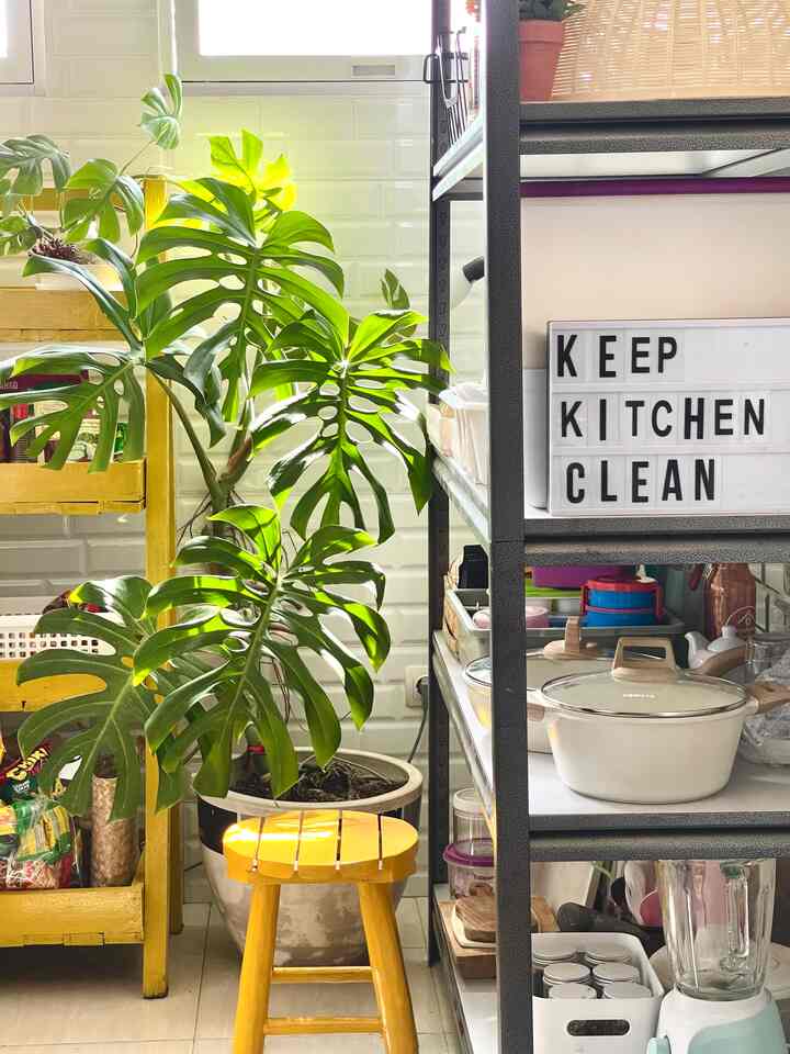 Halo.. senang sekali hampir menyelesaikan renovasi kecil-kecilan di rumah. Re-layout barang-barang di dapur cukup menyenangkan dan menenangkan. Monstera dan beberapa tanaman lainnya yang terkena direct sun membuat mereka terlihat segar di siang hari. Aku mengecat ulang rak tanaman yang sebelumnya berwarna coklat menjadi kuning. Begitu juga dengan kursi kecil itu, sebelumnya berwarna putih dan sedikit usang, sekarang menjadi lebih cerah dan lucu dengan warna kuning 🌞😊 #kitchenbach #liveslowly 