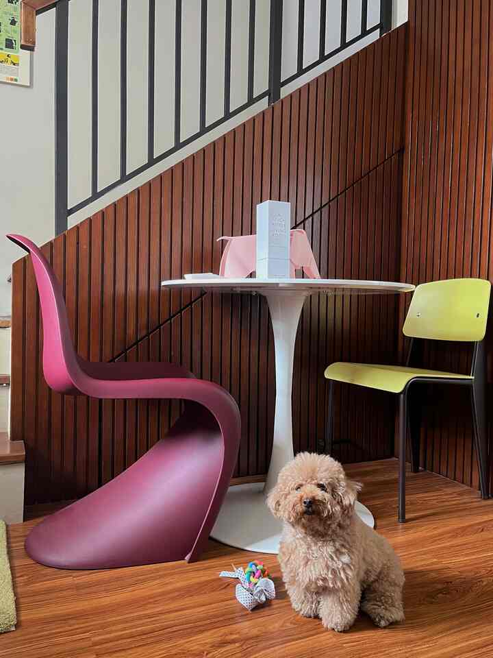 JIWA DI RUMAH KITA

Bukan ruangan/furnitur. Sebaliknya, ini menyedihkan - mainan pudel kami yang selalu bisa mencerahkan suasana hati. Salah satu sudut favoritnya di rumah ini ada di bawah meja makan & sudut gelap di lantai 1. Kami juga baru saja menambahkan 'mainan baru' untuknya, gajah kecil berwarna merah muda yang sesuai dengan ukuran mungilnya.

#mixedfeelingshome #livingroom #diningroom #midcenturymodern #petfriendly #tinyhome