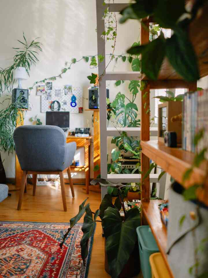 Tema atau style yang diaplikasikan ke dalam kamar #philodechamber adalah urban jungle, dengan menempatkan banyak tanaman didalam, mewujudkan tema urban jungle dengan proses sedikit demi sedikit mengumpulkan beberapa tanaman agar mencapai tema yang diinginkan.

Dengan memilih tema tersebut,ingin terciptanya nuansa alam yang segar namun masih terkesan hangat dengan adanya elemen-elemen kayu pada furniture didalamnya. 

Untuk yang ingin mencoba tema urban jungle, ada beberapa poin yang harus diperhatikan, salah satunya dengan pemilihan jenis tanaman, apakah tanaman itu tahan terhadap ruangan indoor atau tidak, kedua, perhatikan ruangan kamu, apakah terdapat jendela dengan cahaya matahari masuk atau tidak, karena tanaman membutuhkan sinar matahari agar tumbuh baik dalam ruangan.

#designKamar
#Idekamar
#inspirasikamar