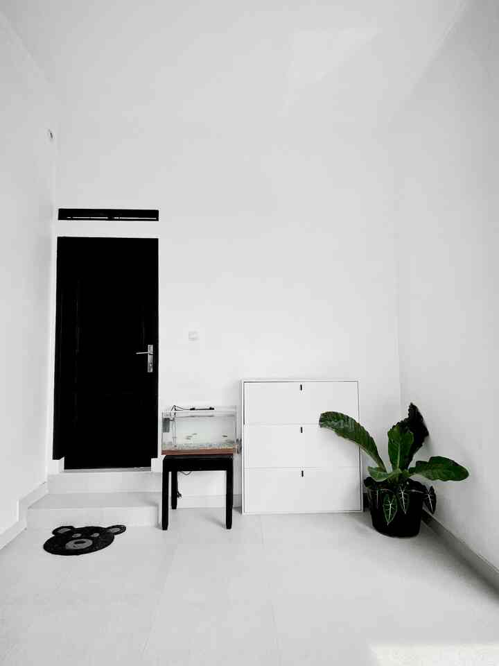 White and black contrast entrance space featuring storage cabinet and plant with a neat, minimalist interior
