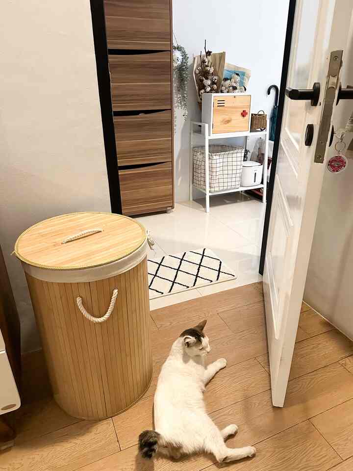 Happy Sunday! 
Bangun tidur dari kamar, Snow🐈 merajuk minta makan. Harus langsung diturutin nih biar gak bawel 🤭 Aku pakai tempat beras dari Ecoco untuk wadah makanan kering kucing. Segala persediaan makanan kucing harus siap sedia di rak putih ini. Semoga selalu ada rezeki untuk stok makanan anabul dan owner. Aamiin.

👉🏻Slide terakhir bonus🐈

#japandi #japandistyle #scandinavian #storage #nyamandiomah #homeforcats 