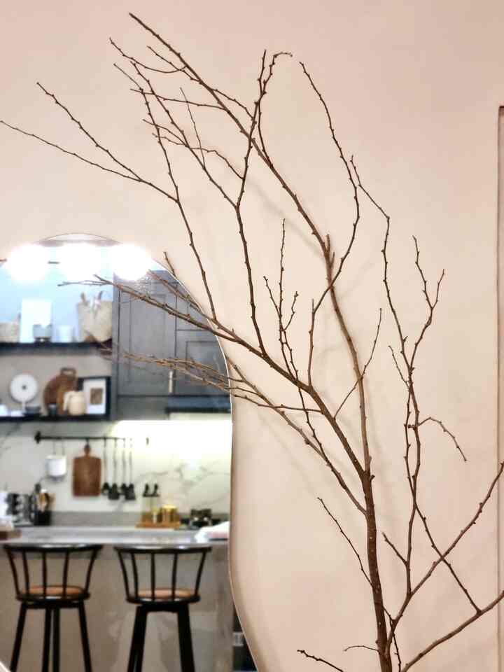 Barang dekoratif yg saya gunakan untuk mempercantik rumah yaitu tanaman/bunga artifial, ranting kering, dan juga vas vas yg dibuat pengrajin lokal di jogja. Cermin estetik juga khusus dipesan sebagai point untuk area ini. Semuanya dibeli dari umkm lokal untuk menghemat budget namun tetap estetik. #homestyling #homedecor #modernmininalist #homedesain #modernhouse #blackandwhitedecoration #home #modernkontemporer