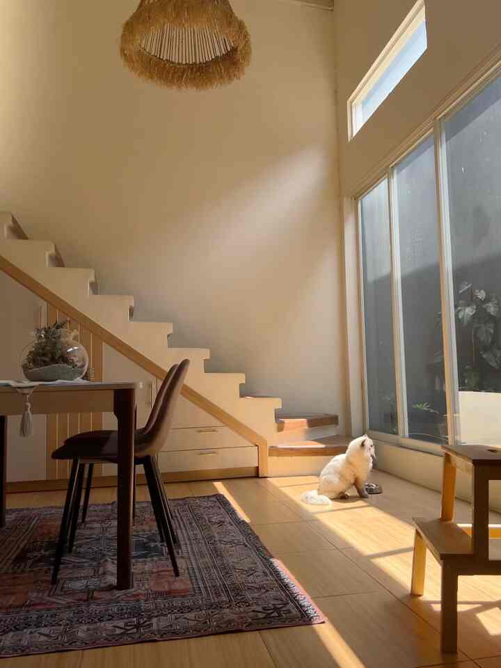 Excited for this area 🌞✨

Tempat ter-aestethic dirumah ini dengan bantuan sinar matahari. 

Ruangan ini merupakan satu-satu nya ruangan yang paling luas dan paling sering dijadikan tempat untuk  bercengkrama dengan sanak sodara bahkan teman-teman ketika berkunjung dirumah kami. 

Selling point dari ruangan ini tentunya meja makan dan kursi makan yang menghadap ke mini garden (bisa nglamun lama-lama 🤣).

#aestheticroom #aesthetichomedecor #homestyling
#homedecor #rumahmungil #petparent
