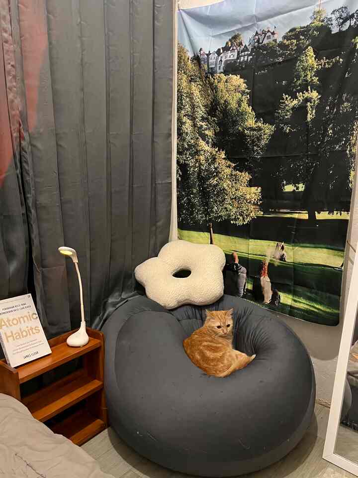 Spot favorit untuk kucing dan juga baca buku 🐱

Pojokan kamar lebih cozy dengan menambahkan bean bag & fabric poster ✨

#minimalist #decorlowbudget #petparent #roomdecorations