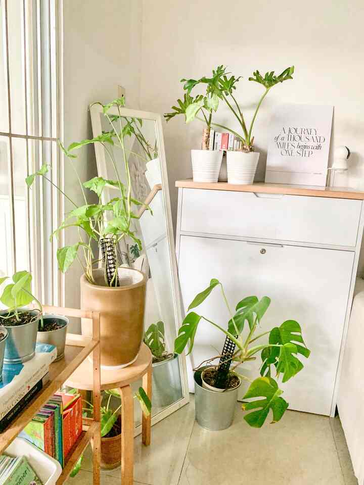 Creating a fancy corner for natural-and-minimalist korean home decor..

Tanaman dalam pot dalam ruangan dapat menghubungkan kita dengan alam tanpa harus keluar rumah. Rak minimalist dari bambu dapat memberikan vibes natural, sangat cocok di padankan dengan lampu gantung bambu di ruang tamu ini. Melihatnya membuat saya merasa sangat relax dan menyatu dengan alam. Budget untuk dekorasi nuansa natural but fancy sangat affordable dan semua bisa dipesan melalui market place.

#FancyBudgetMinim #LowEffortFancy #SpillDecorLowBudget #minimalist #natural #tropical 