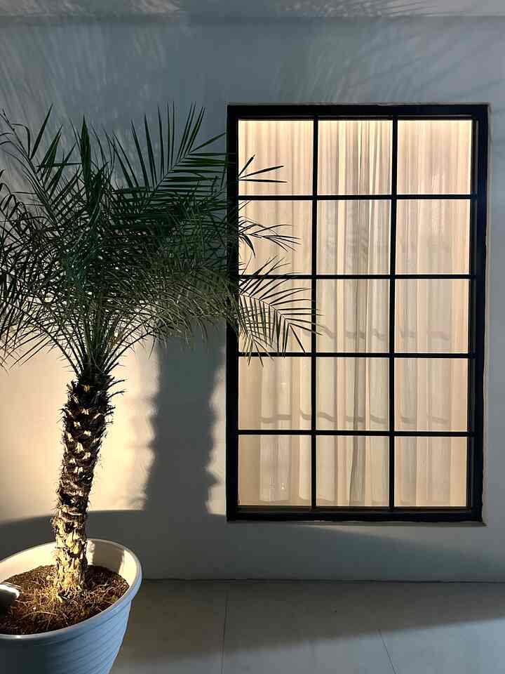 Selamat malam tetangga online...
Karena saya menyukai tanaman, maka di rumah ini dibuatkan taman kecil di depan dan belakang rumah.
Suasana malam hari ini dibantu oleh lampu tenaga surya yang warnanya membuat suasana semakin hangat.

#tropicalhouse #tropicalgarden #inspirasitaman #tamanmini #bogor #tanamanhias #idetaman


