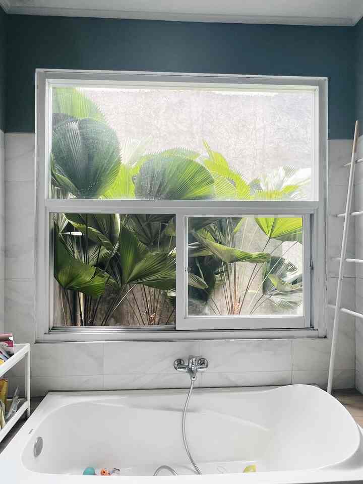 Bikin bathroom fancy dengan low budget? Ini keahliannya master bathroom kloofliving nih. Ada 4 items yg semoga bisa jadi inspirasi karena sebenernya low budget tp kliatan fancy karena finishing, pemilihan matrial dan warnanya yang bkin fancy pdhl beli dengan harga murah.
1. Bathtub low budget tp karena finishing ditanam di granit motif kayu jadi lebih kliatan fancy
2. Meja wastafel yang dibuat pake semen tp difinishing dengan granit motif kayu
3. Cermin motif kayu harga ratusan ribu aja beli di marketplace
4. Keramik motif carrara untuk dinding bathroom

#FancyBudgetMinim
#LowEffortFancy
#SpillDecorLowBudget
#bathroomideas
#masterbathroom
#bathroom