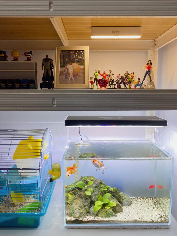 short form carousel card thumbnail