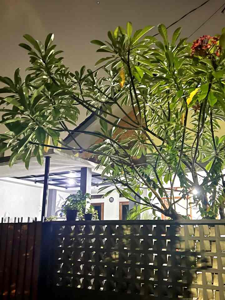 RUMAH BEKAS KOS-KOSAN
Saat pandemi harga2 property di thn 2021 sangat turun, kami memutuskan untuk mencari rumah daerah Jakarta yang masuk budget kami, akhirnya dapat lah Rumah bekas kos-kosan ini. Alhamdulillah setelah kami renov, sudah nyaman untuk kami tempati.
#MyHomeStory #MyHomeJourney #HomeSweetHome #rumahjakarta