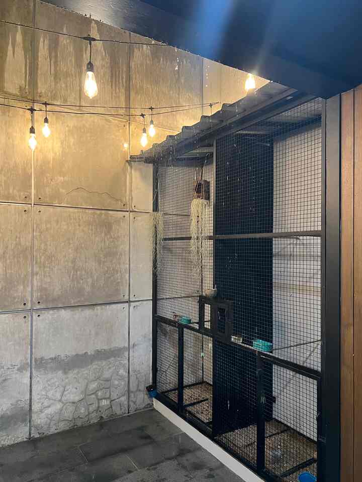 Musim hujan tibaa,,
Setelah kemarau panjang yang gerah banget,,
Akhirnya hujan yang dirindukan datang yah tetangga,,
Syahdu banget malem-malem gini hujan ,,
Bikin males kemana2,,dah dirumah aja nikmatin taman belakang dah Masya Allah nikmat banget 🤍

#HomeSweetHome
#Home
#TamanRumah
#TamanBelakang
#spotfavorit
#monstera 
#kandangburung
#industrial