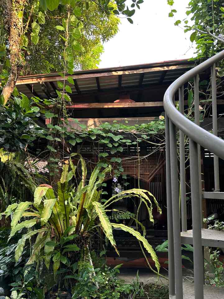 Jangan pernah tidak meromantisasi kehidupan kampungku di Jogja 🥰

Mulai dari tanaman hijau subur, susunan kayu tua, hingga kicauan burung

#tradisional #traditionalhouse #tropicalhouse #summerhouse