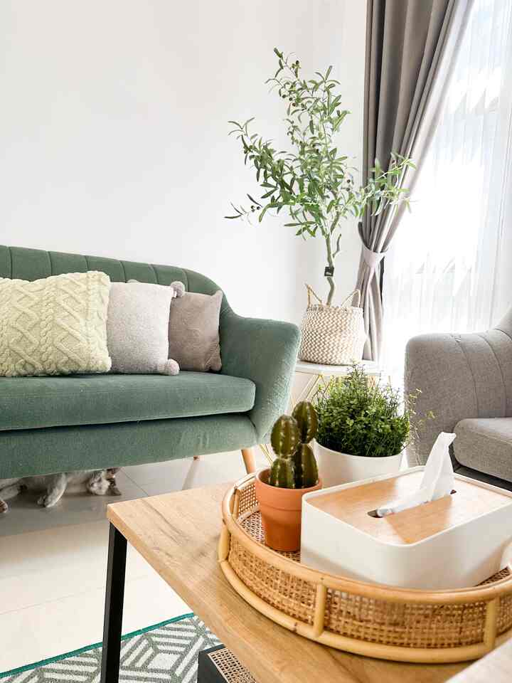 Dalam mengisi ruang tamu, kupercayakan furniture seperti sofa 2 seater dan meja pada Dekoruma. Desainnya unik dan bisa menghidupkan suasana. Kami sengaja memilih 2 warna yang berbeda untuk sofa nya agar ruangan ini tidak terlihat monoton dari segi warna. Selain itu cushion cover dan karpet yang dipilih pun juga senada dengan warna sofa yaitu perpaduan warna abu dan hijau.

#nyamandiomah #livingroomstyling #livingroomdecor #livingroommakeover #livingroominspo #dekoruma 