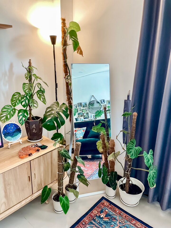 short form carousel card thumbnail