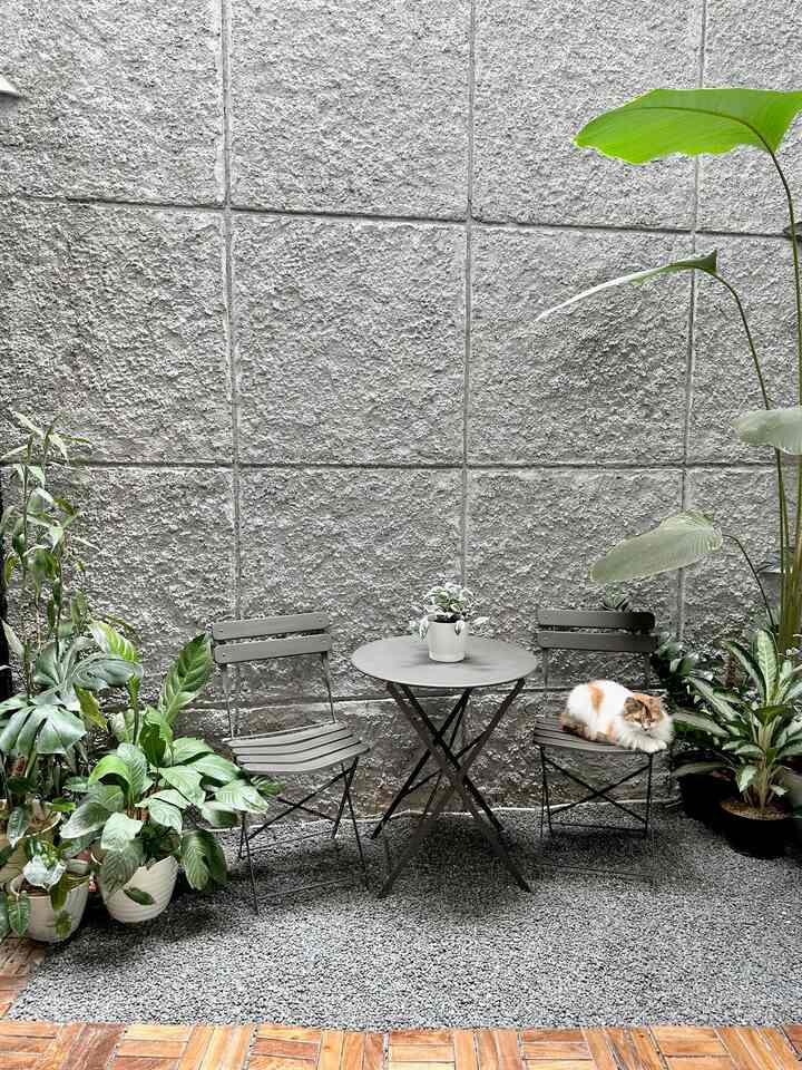 Small natural pet-friendly space featuring gray textured wall, green plants, two folding dining chairs, and a round table