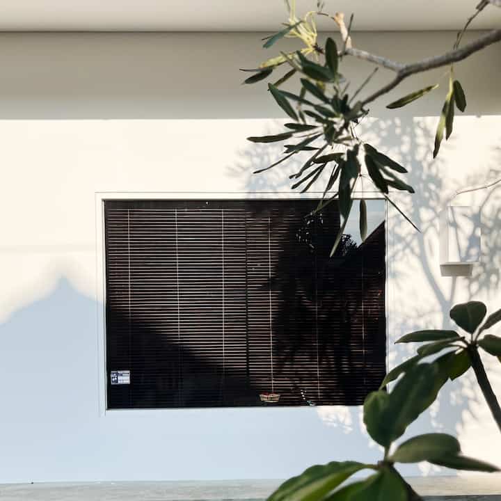 Simple natural entrance exterior with white walls and dark wood blinds, featuring some greenery and plant shadows