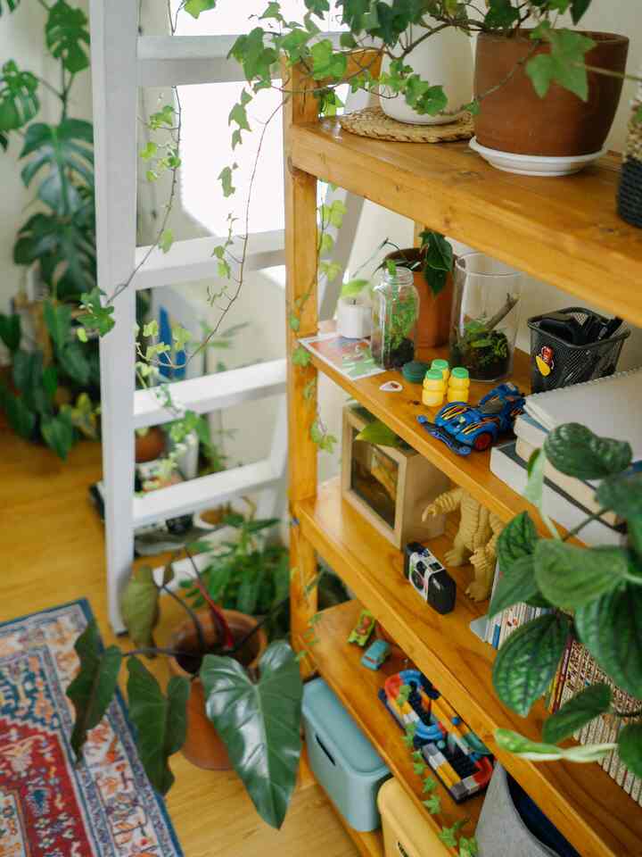 Beberapa sudut tanaman yang ada di #philodechamber.


#homedecorinspo #roomdecorinspo #aesthetichomedecor #urbanjungle #mezannine #homestudio #plants #indoorplants #indoorgreen #bandung