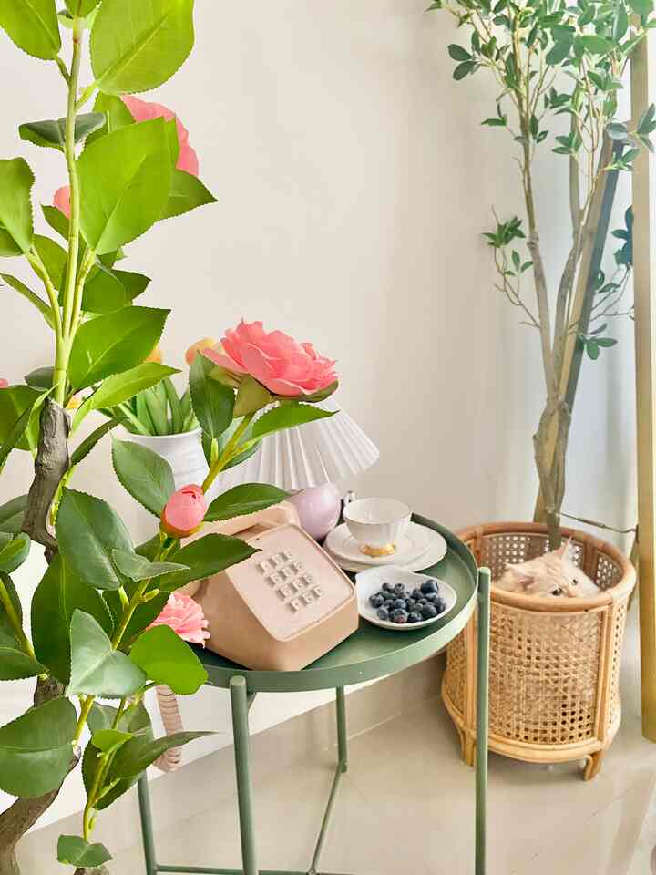 Happy Wednesday tetangga online dari Anabul kesayangan. me time cantik ditemani Scott hihihihi 
siapa disini yg suka me time cantik kayak gini? Aku suka banget me time cantik apalagi ditemani anabul kesayangan kayak abis beberes capek udah kelar semua dan rewardnya adaah me time cantik buat aku udah kayak healing ☺️

#liveslowly #homesweethome #metime #petparent #teatime