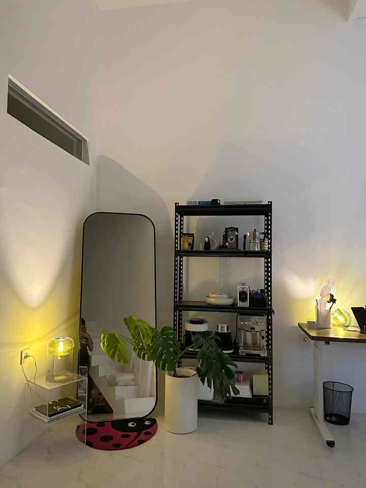 White-toned small room corner featuring a minimal standing mirror, black storage shelf, and large green plant with a clean atmosphere