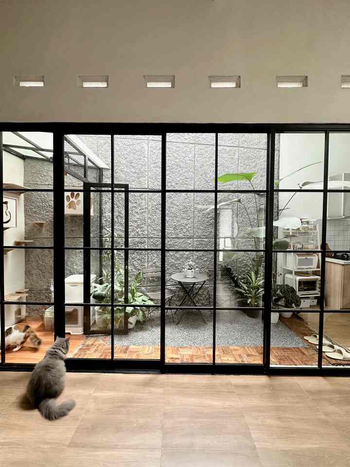 Compact veranda with black framed glass doors and wood-tone flooring, featuring plants and a cat tower in a minimal setting
