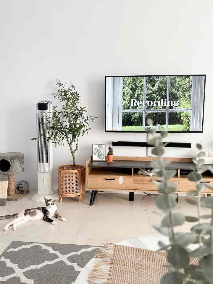 Open space tv room/family room yang menyatu langsung dari pintu masuk, ke ruang tamu, hingga ke ruangan ini. 

#nyamandiomah #tvroom #familyroom #mejatv #openspace #catlovers #rumahminimalis