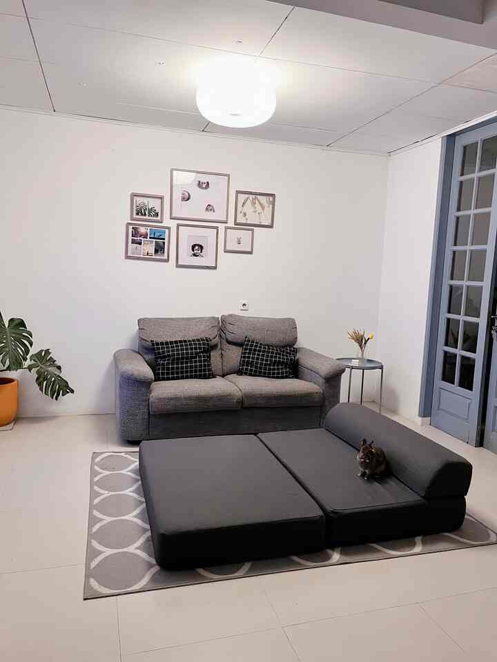 Natural color living room featuring gray sofa and sofa bed with framed wall art, creating a cozy atmosphere