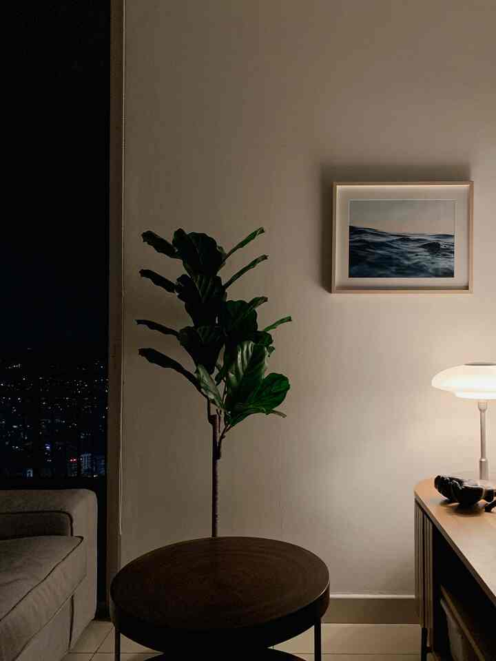 Cozy living room with natural wooden table and plant near balcony showing nighttime city lights