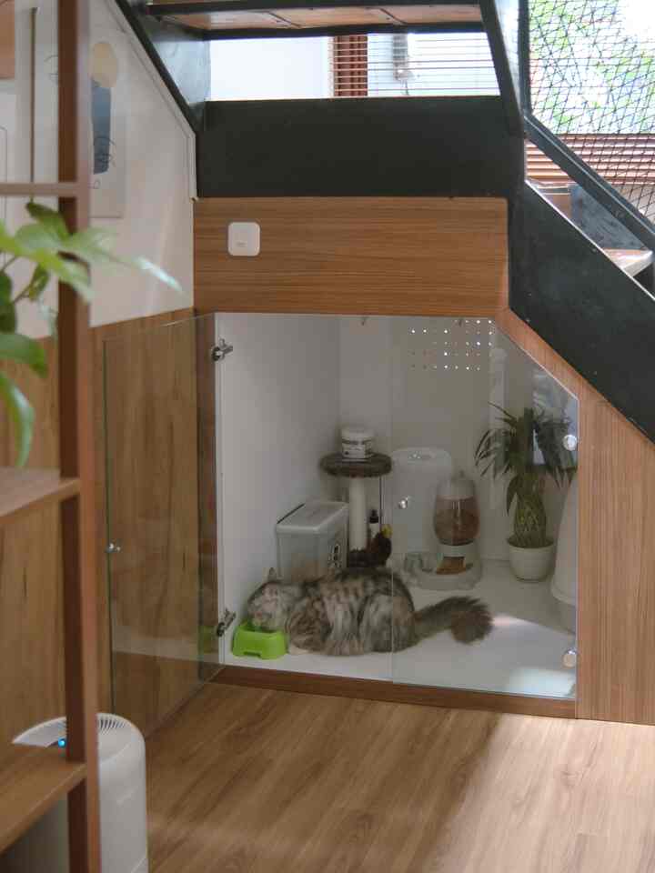 Natural wood tones and white walls define a small dedicated cat room with glass doors, creating a clean and organized space