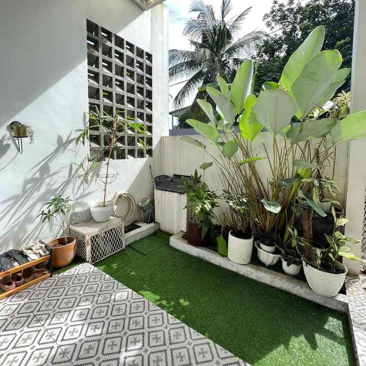 White-walled balcony with large green plants, featuring a natural and clean atmosphere.