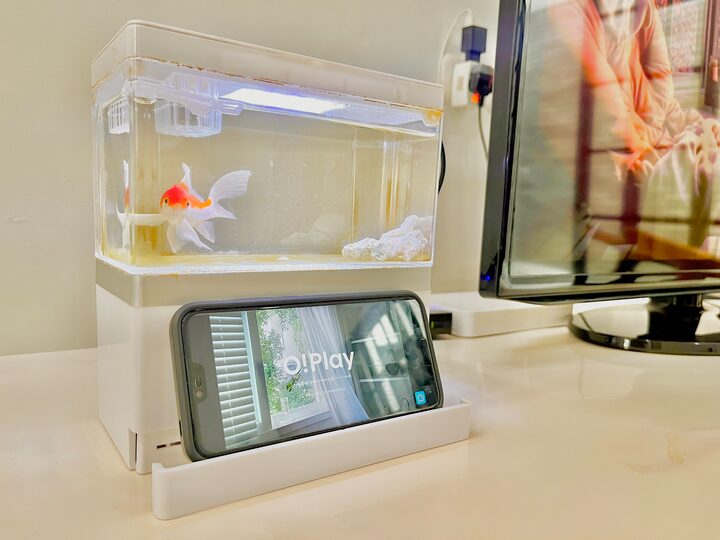 short form carousel card thumbnail